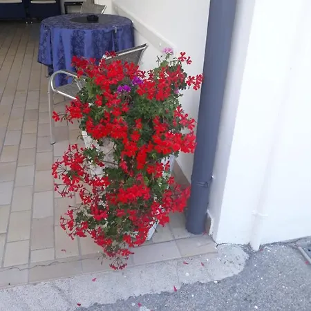 Serenella 3* Lido di Jesolo