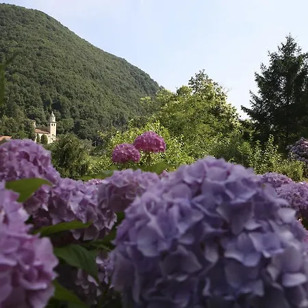 Hotel Serenella Lido di Jesolo