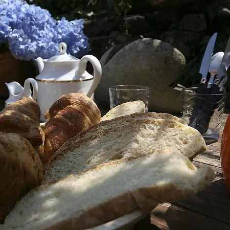 Serenella מלון לידו די ג'סולו