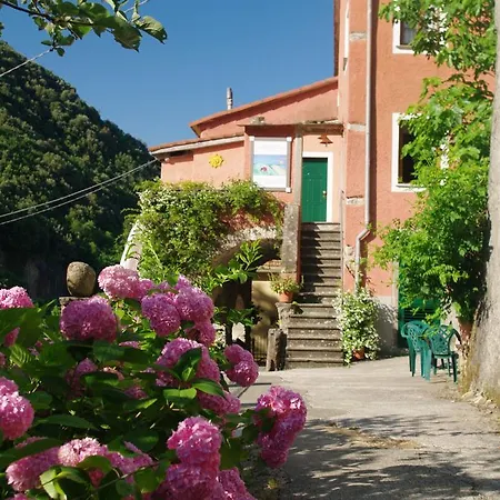 Serenella Hotel Lido di Jesolo