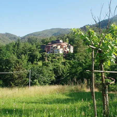 Serenella