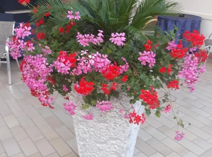 Serenella 3* Lido di Jesolo