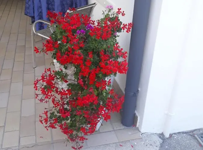 Serenella 3* Lido di Jesolo