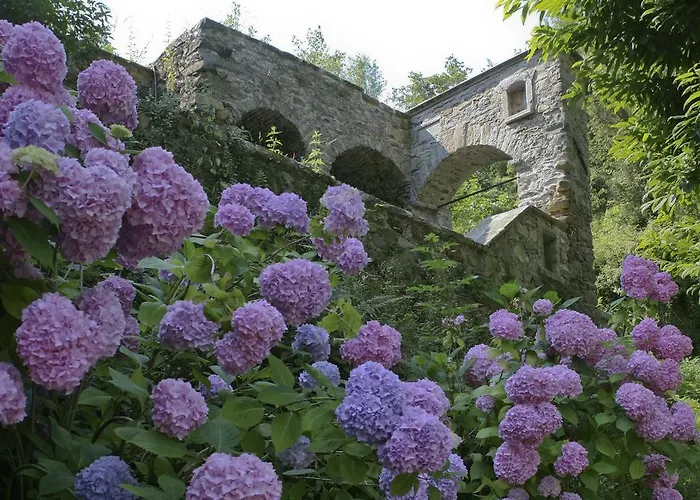 Serenella 3* Lido di Jesolo
