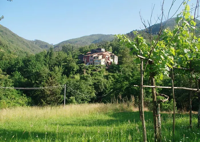 Serenella