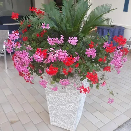 Serenella 3* リド・ディ・イエゾロ