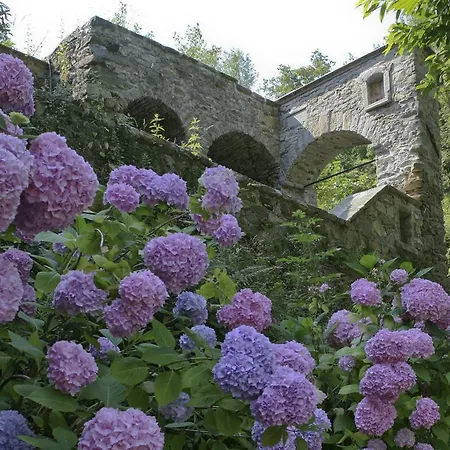 Serenella 3* リド・ディ・イエゾロ